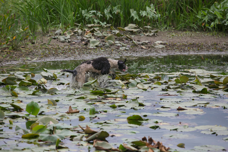 Full Size Image = 856 K