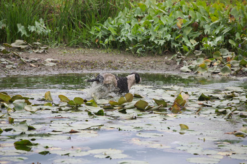 Full Size Image = 862 K