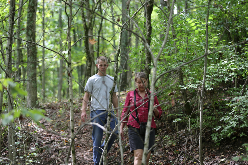 Full Size Image = 1724 K