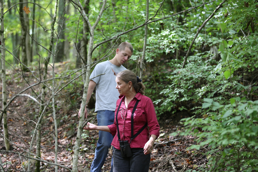 Full Size Image = 1424 K