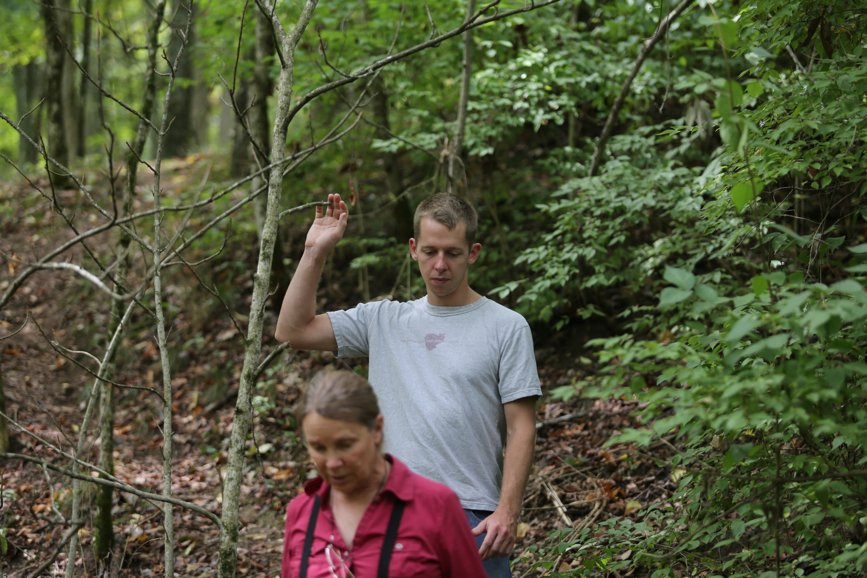 Full Size Image = 1262 K