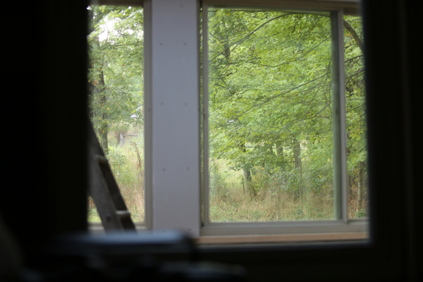 Full Size Image = 956 K