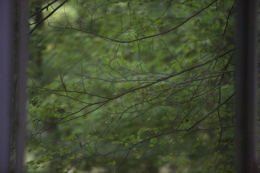 Full Size Image = 2060 K