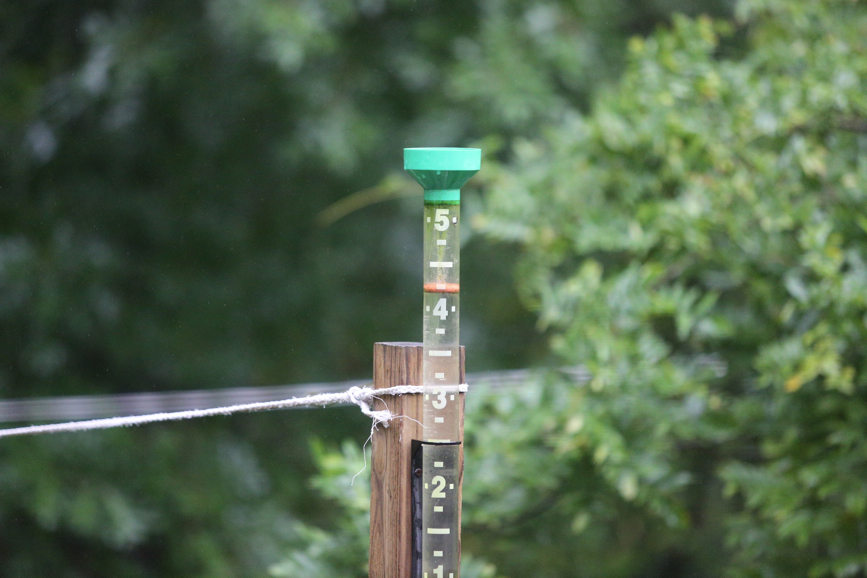 Full Size Image = 1351 K