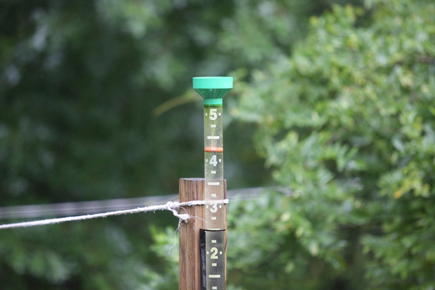 Full Size Image = 1219 K