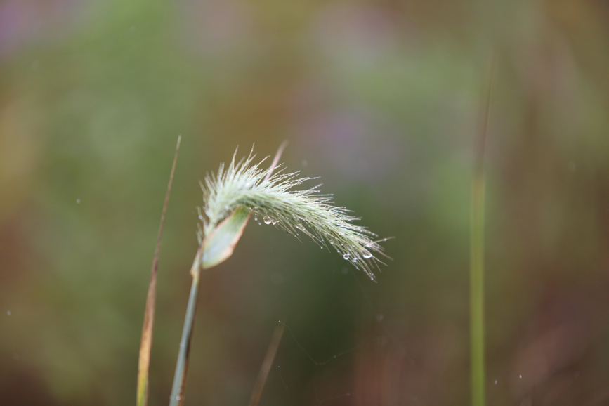 Full Size Image = 557 K