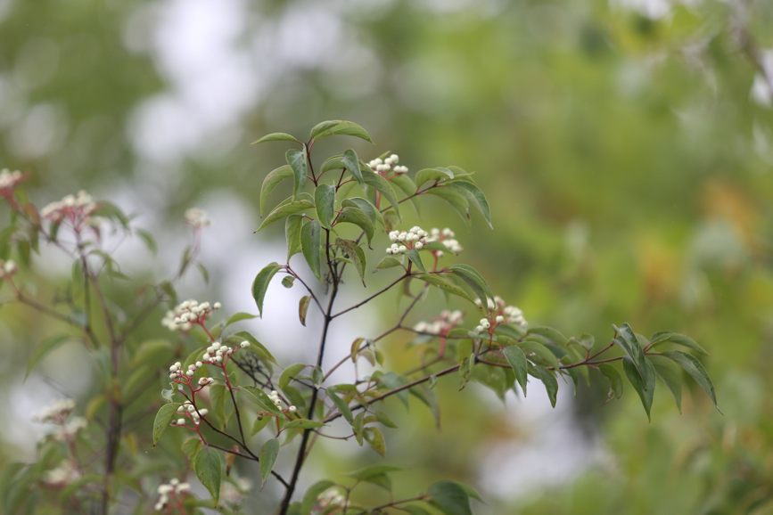 Full Size Image = 717 K