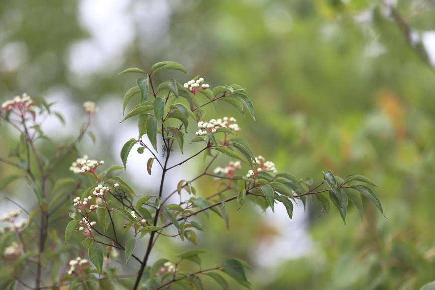 Full Size Image = 469 K