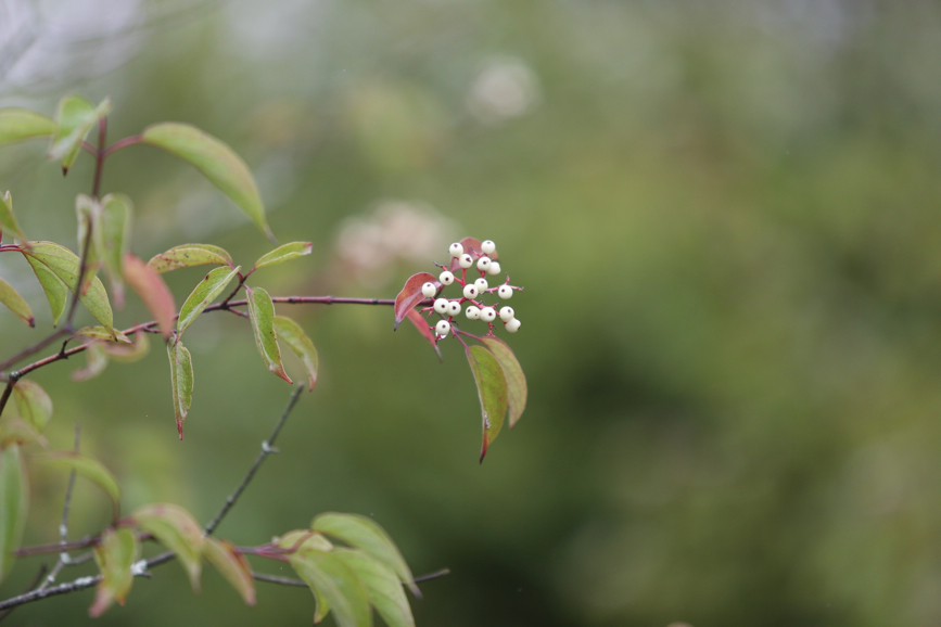 Full Size Image = 644 K