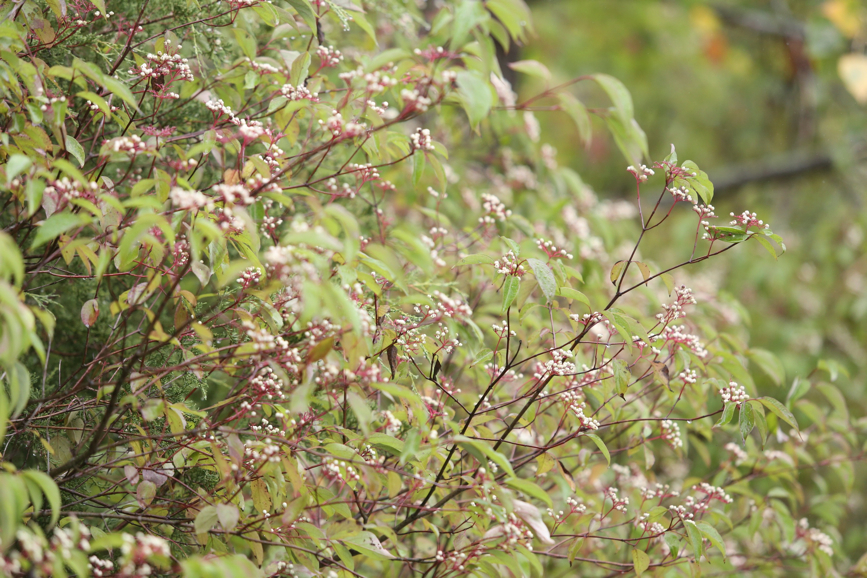 Full Size Image = 1394 K