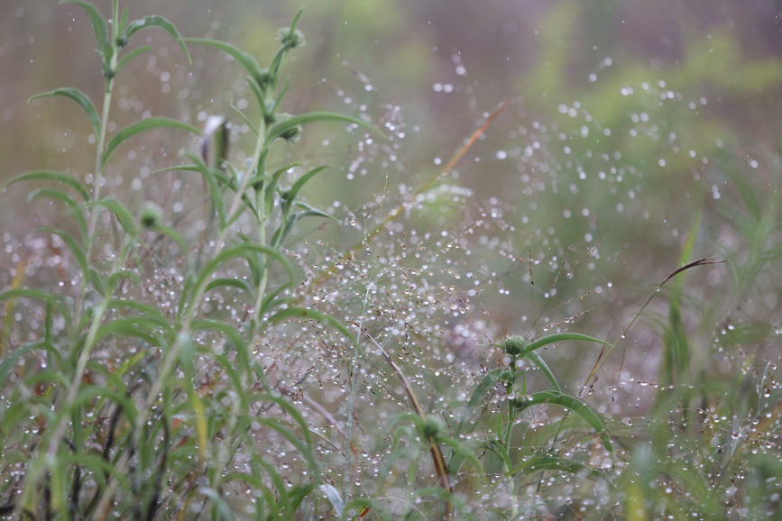 Full Size Image = 1048 K