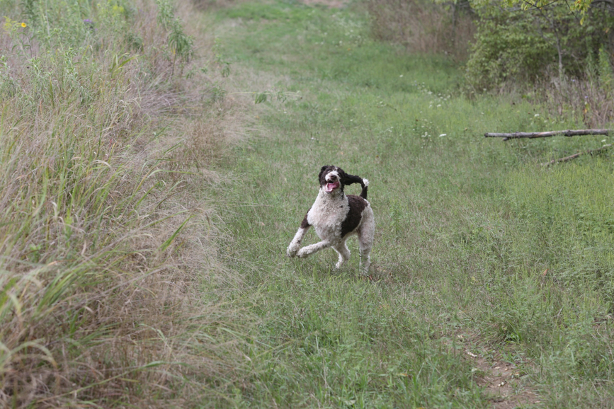 Full Size Image = 1682 K