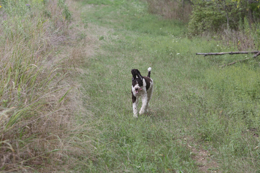 Full Size Image = 1672 K