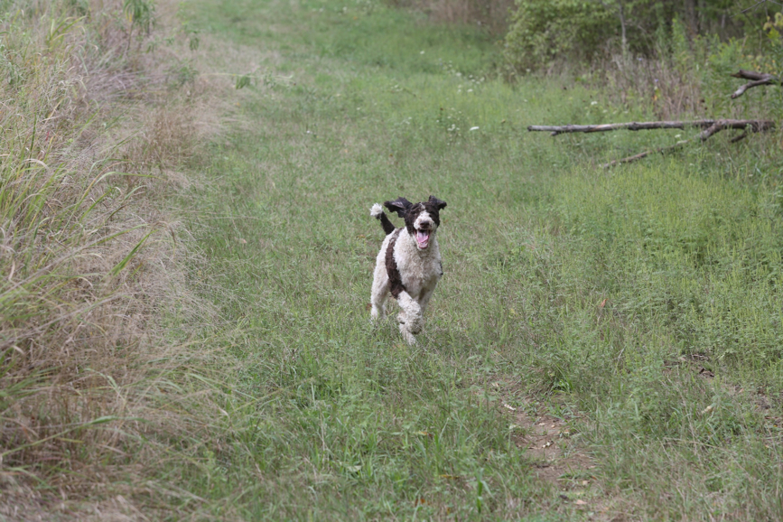 Full Size Image = 1675 K