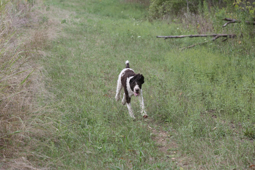 Full Size Image = 1646 K