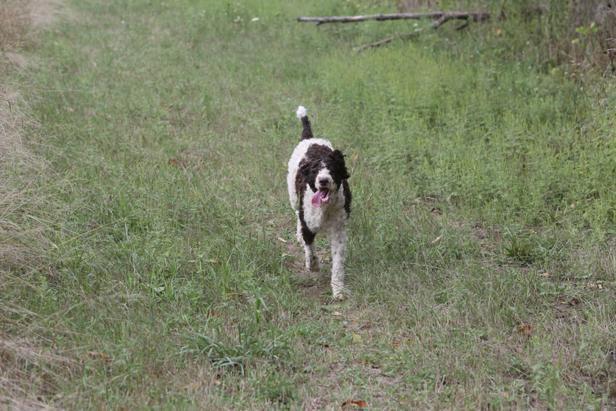 Full Size Image = 1865 K