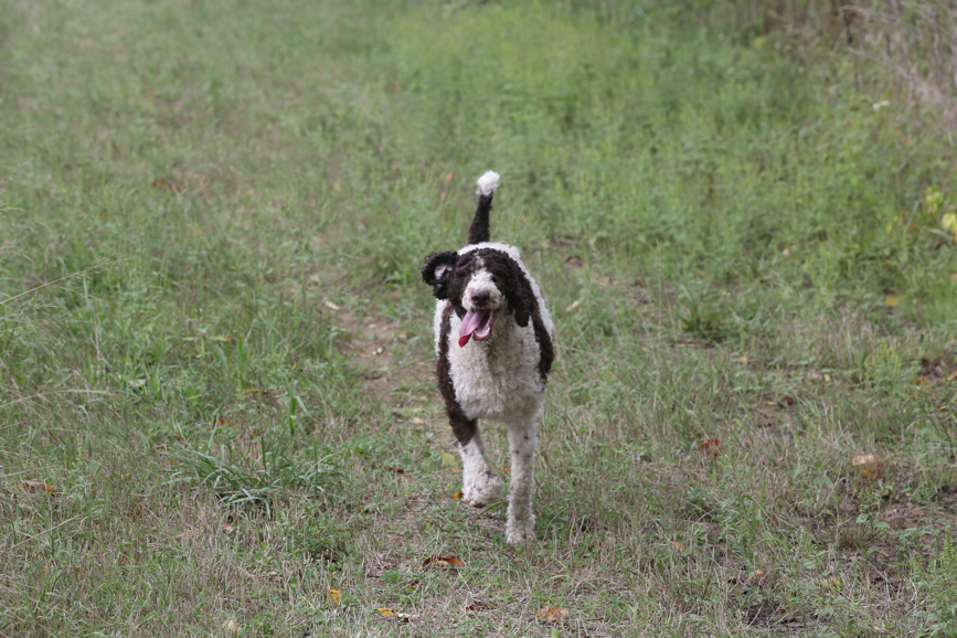 Full Size Image = 1496 K