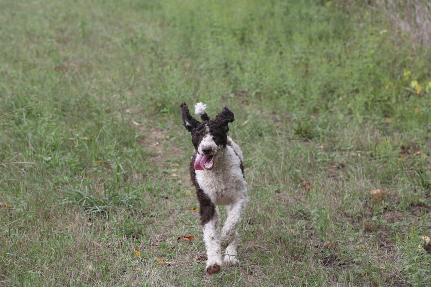 Full Size Image = 1346 K