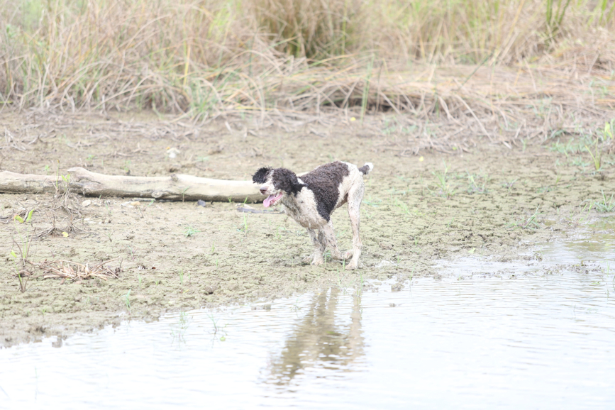 Full Size Image = 1223 K