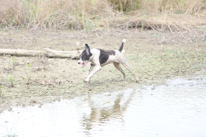 Full Size Image = 1146 K