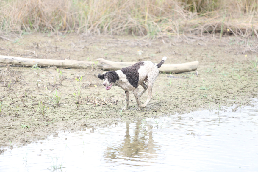 Full Size Image = 1163 K