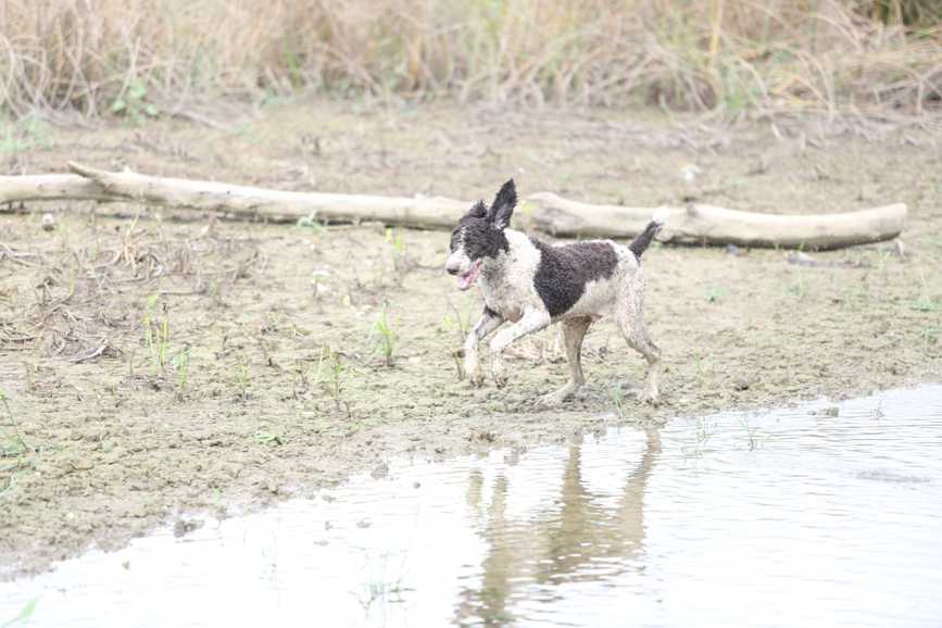 Full Size Image = 1131 K