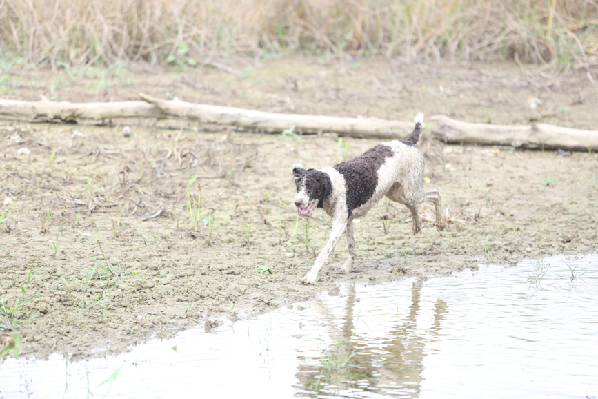 Full Size Image = 1133 K