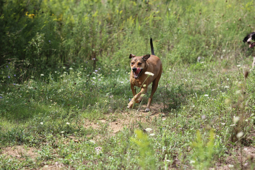 Full Size Image = 1352 K