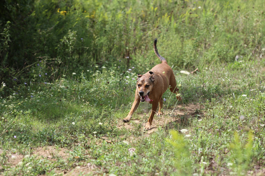 Full Size Image = 1390 K