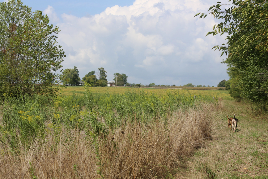 Full Size Image = 2064 K