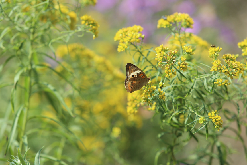 Full Size Image = 720 K