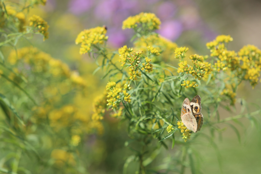 Full Size Image = 622 K