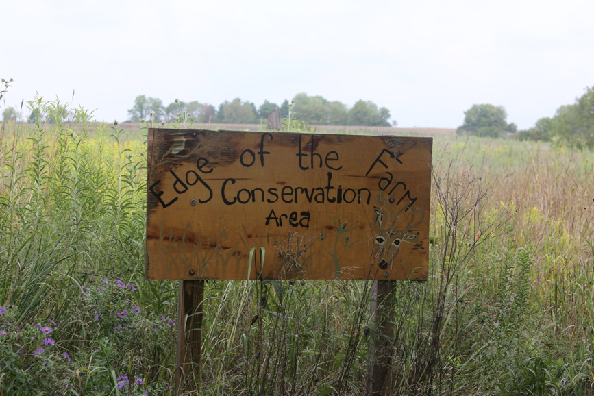 Full Size Image = 1608 K