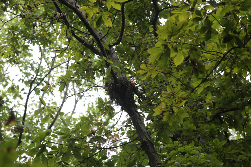 Full Size Image = 1571 K