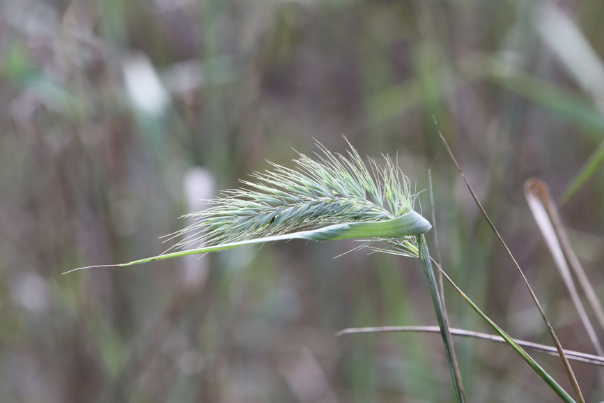 Full Size Image = 690 K