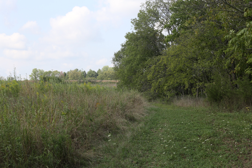 Full Size Image = 1712 K