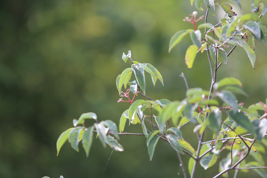 Full Size Image = 670 K