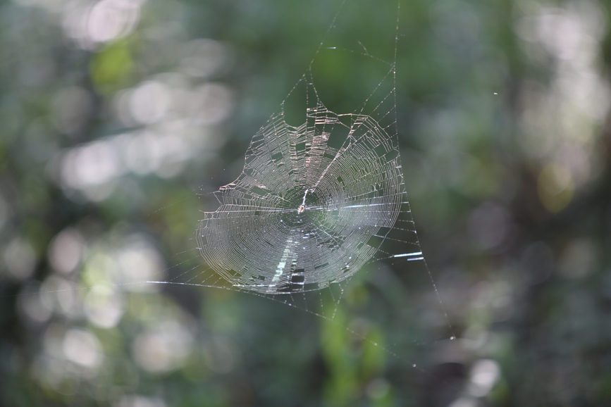 Full Size Image = 861 K