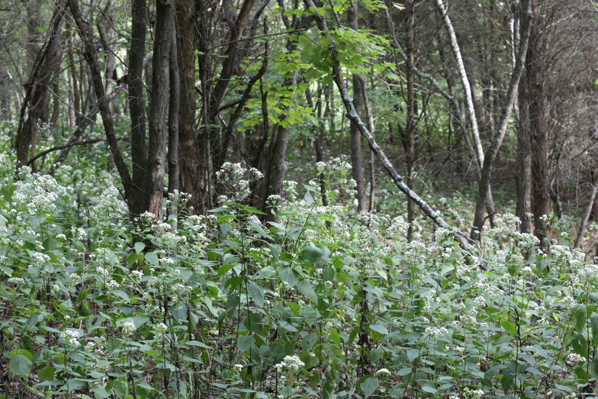 Full Size Image = 2013 K