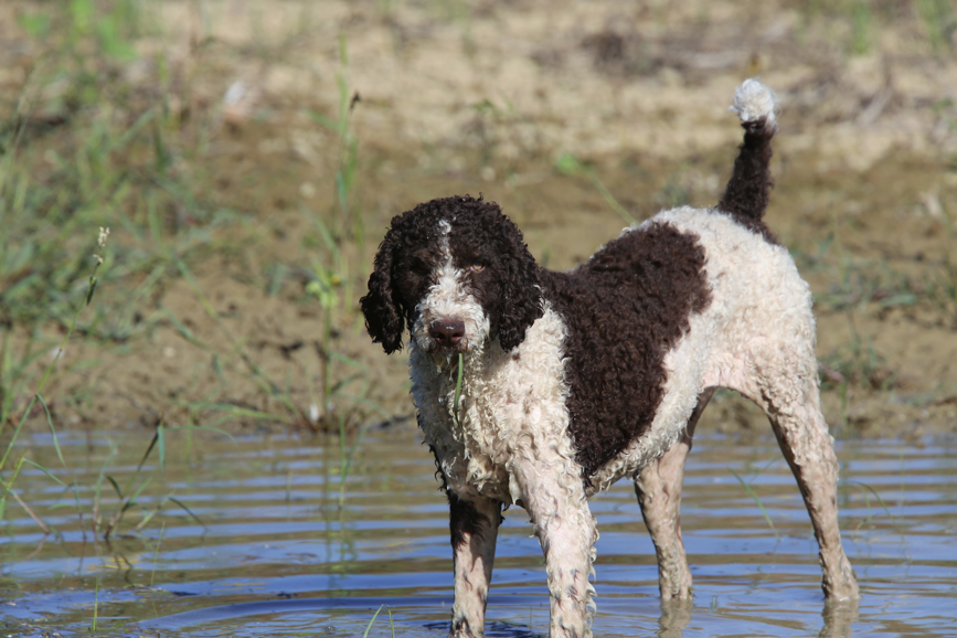 Full Size Image = 874 K