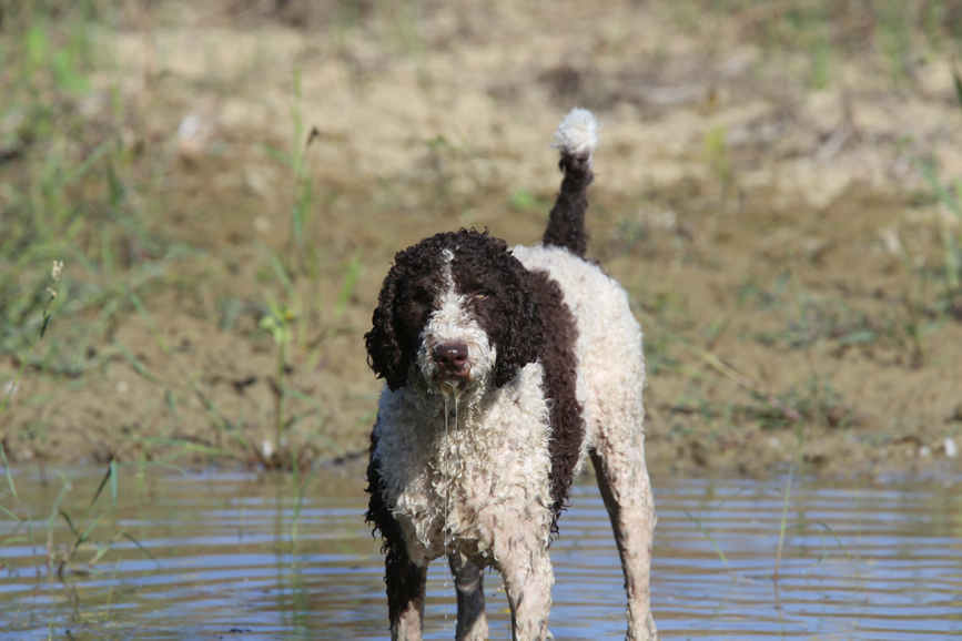 Full Size Image = 767 K