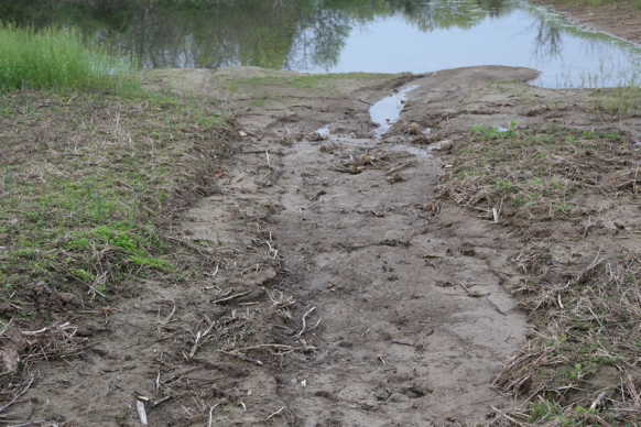 Full Size Image = 2375 K