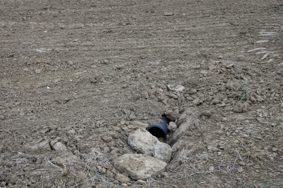 Full Size Image = 2506 K