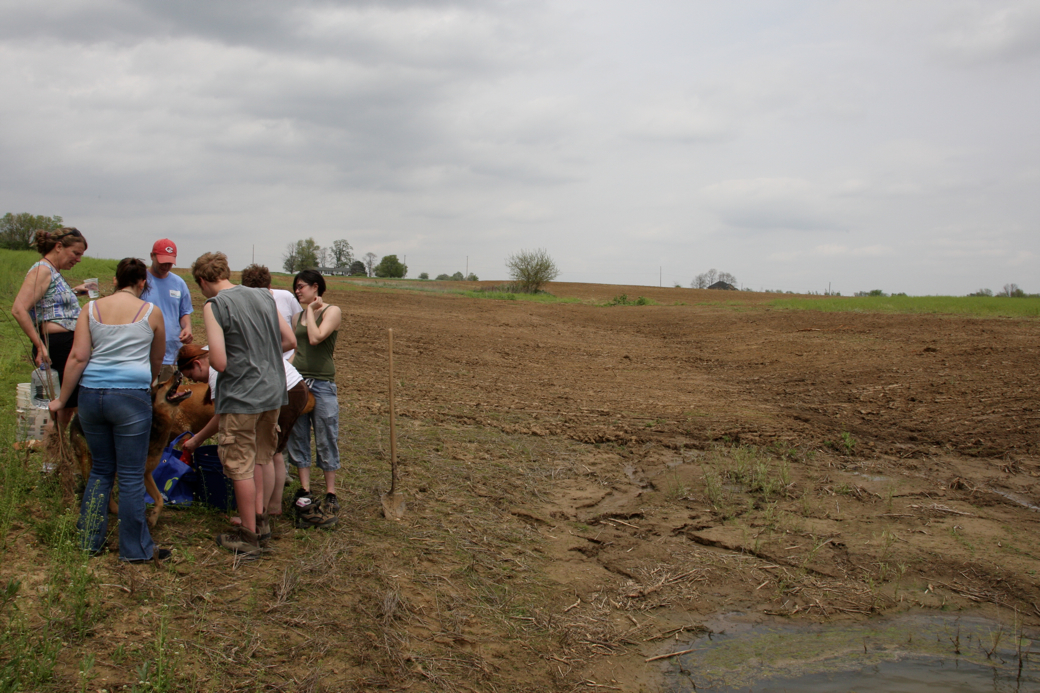 Full Size Image = 4446 K