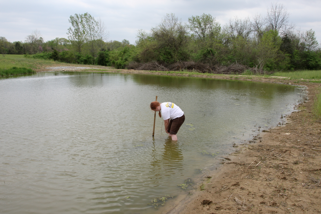 Full Size Image = 4245 K