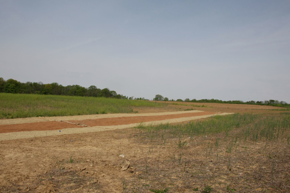 Full Size Image = 331 K