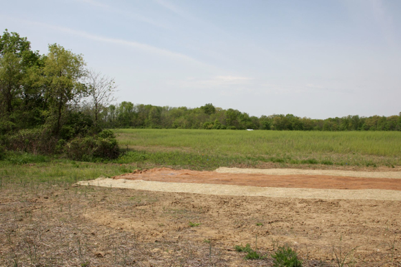 Full Size Image = 470 K