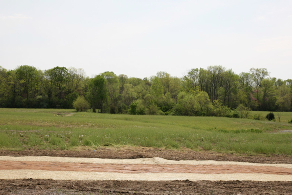 Full Size Image = 412 K