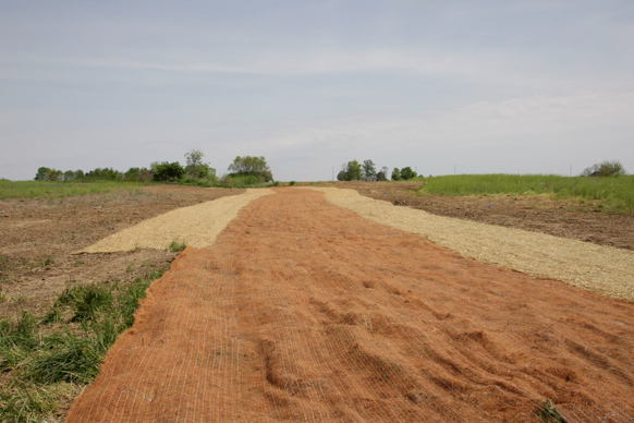 Full Size Image = 397 K