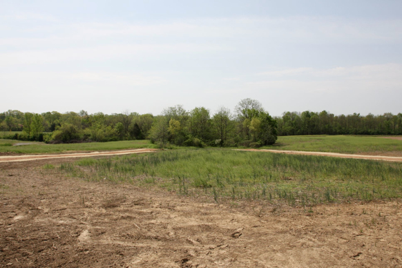 Full Size Image = 404 K